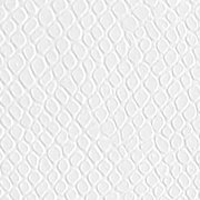 Lizard White