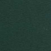 Algora Dark Green