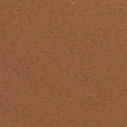 Fluctuations Sepia