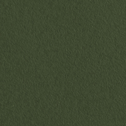 Fluctuations Olive