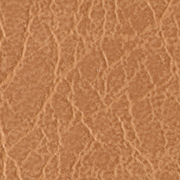 Rebel Sepia