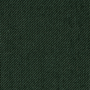 Feincanvas Evergreen