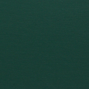 Adirondack® Forest Green