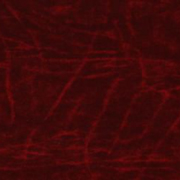 PJ10 by Gane™ Merlot, Leather Print