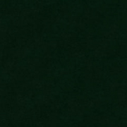 PJ10 by Gane™ Green, Leather Print