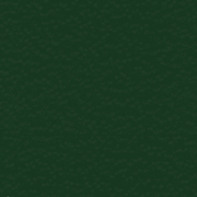 COMPCOVER™ Green, Kid