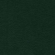 Sturdite® Imitation Leather Green, Levant