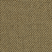 Iris® Olive