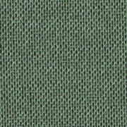 Iris® Fern