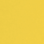 Colored Endleaf Paper Grapefruit