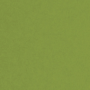 Colored Endleaf Paper Sage