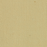 Kennett® Wheat