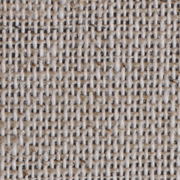 Lino Oyster