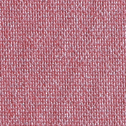 Luminaire™ Wild Rose