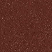 Advantage 7 7-pt. Chocolate