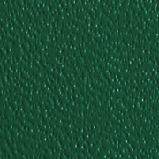 Advantage 7 7-pt. Grass Green