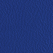 Advantage 7 7-pt. Indigo Blue