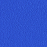 Advantage 7 7-pt. Royal Blue
