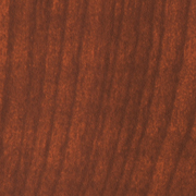 Forest Light Brown