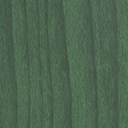 Forest Moss