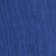 Forest Navy