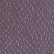 Lizard Grey