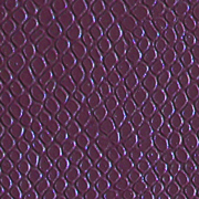 Lizard Purple