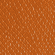 Lizard Orange