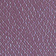 Lizard Light Purple