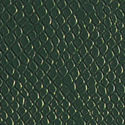 Lizard Dark Green