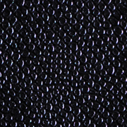 Lizard Black