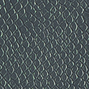 Lizard Green