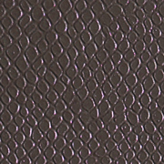 Lizard Light Brown