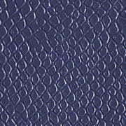 Lizard Dark Blue