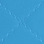Diamond Turquoise