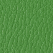 Pellana Light Green