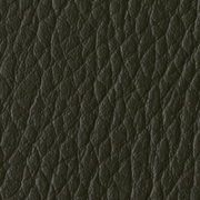 Pellana Dark Green