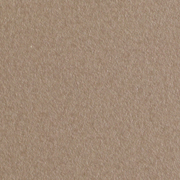Fluctuations Beige