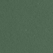 Fluctuations Fern