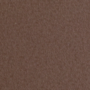 Fluctuations Hazelnut