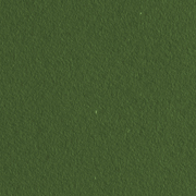 Fluctuations Moss