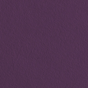 Fluctuations Grape