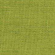 Kashmir Lime