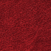 Masanti Red