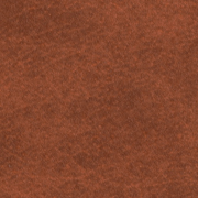 Padusa Sepia