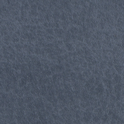 Padusa Gray