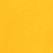 Reflections Yellow