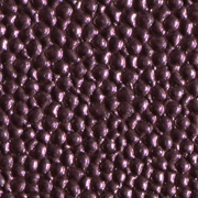 Stingray Purple
