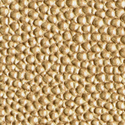 Stingray Gold