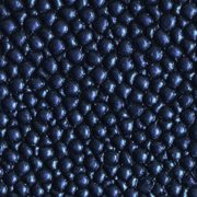 Stingray Blue